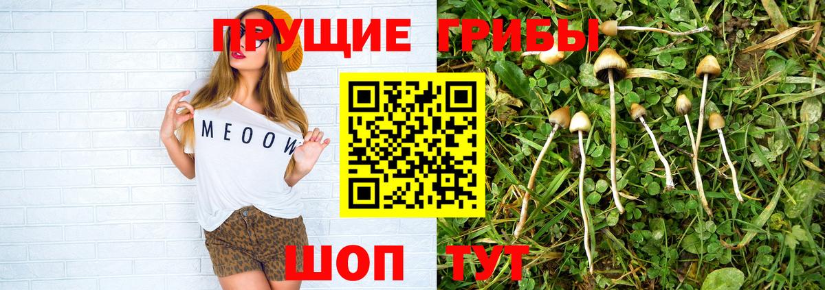 Галлюциногенные грибы прущие грибы  Псилоцибиновые грибы мухоморы  Бийск  Вход с VPN 