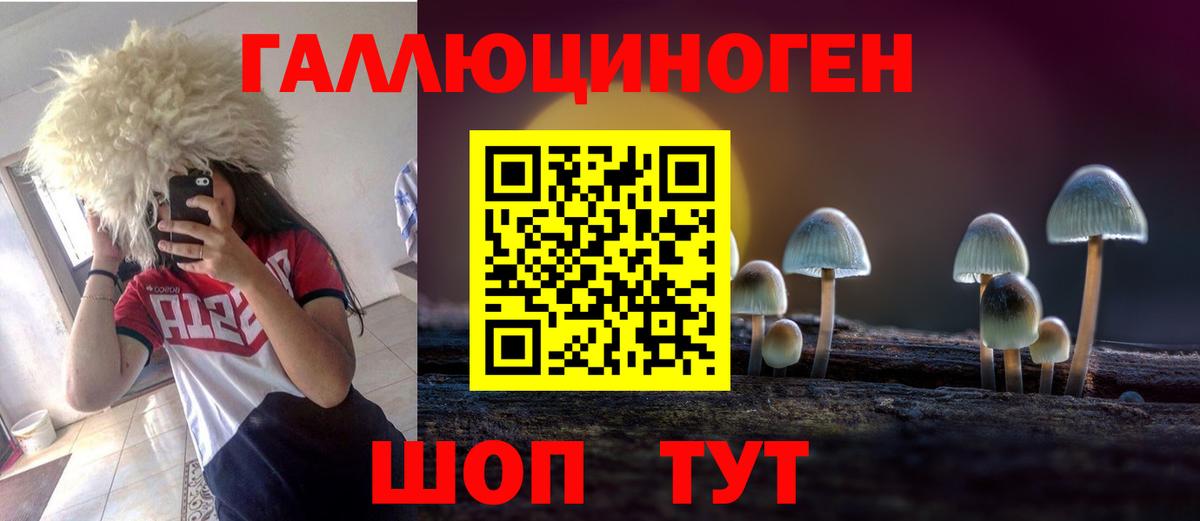 Галлюциногенные грибы GOLDEN TEACHER Бийск